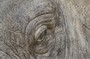 Casa Padrino Deko Wandfigur Elefant Grau 215 x 67 x H. 170 cm - Luxus Wanddekoration