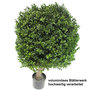 Buchskugel Buchsbaum Stamm Pflanze Bux Kugel Buxbaum Buchs knstlich H70cm D50cm