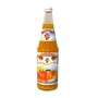 Orange-Apfel-Krbis-Melone Fruchtgetrnk von der Mosterei Jank - 12er Pack (12 Flaschen  0.7 l)