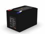 LiFePO4 Akku 12V 12Ah mit BMS (Batterie Management System)