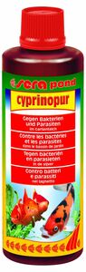 Sera Cyprinopur fr Teichzierfische 250ml 