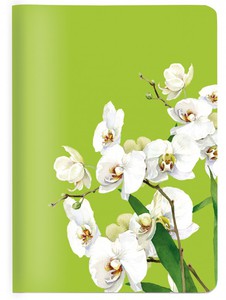 Cedon Heft DIN A6 - Orchidee, kariert