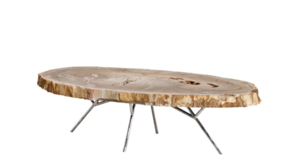 Casa Padrino Luxus Art Deco Designer Couchtisch aus versteinertem Holz - Wohnzimmer Salon Tisch - Limited Edition
