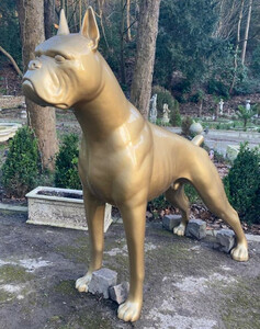 Riesige XXL Boxer Skulptur Gold 190 x H. 173 cm - Wetterbestndige Deko Gartenskulptur - Gartendeko Tierfigur Hunde Skulptur Hund