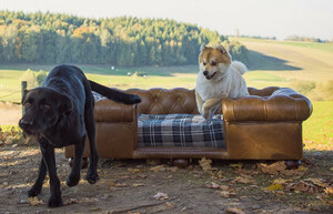 Casa Padrino Luxus Chesterfield Leder Hundebett Vintage Braun / Dunkelbraun / Mehrfarbig 134 x 104 x H. 37 cm - Rechteckiges Echtleder Hundebett - Luxus Chesterfield Leder Tiermbel
