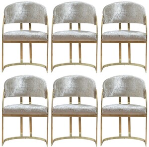 Casa Padrino Luxus Esszimmer Stuhl 6er Set mit Armlehnen Silber / Gold H. 88 cm