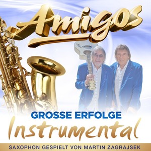 Amigos - Groe Erfolge - Instrumental [CD]
