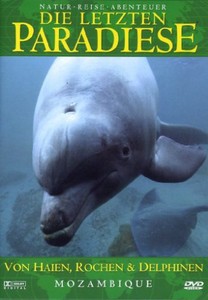 Mozambique - Von Haien, Rochen und Delphinen - Afrika [DVD]