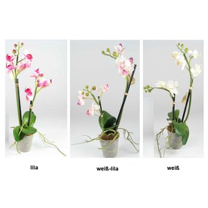 Orchidee Phalaenopsis im Topf knstlich doppelt 2 Triebe H30cm Kunstblume
