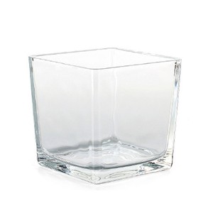 Vierkantgef Glaswrfel quadratisch eckig Pflanzgef Pflanztopf Topf 8cm klar