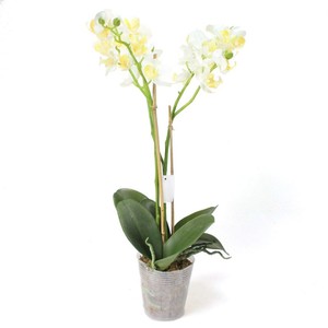 Phalaenopsis Orchidee 2 Rispen creme wei knstlich H 60cm im Topf Kunstblume