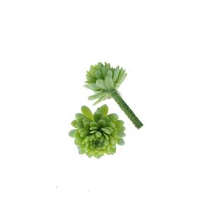 Mini Sukkulente ca L65mm 40mm Minisukkulente Echeveria grn Kunstpflanze knstlich