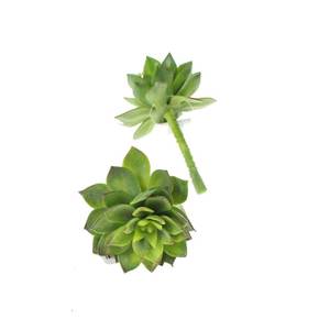 Sukkulente ca L80mm 60mm Echeveria grn Kunstpflanze knstlich Kunstblume Kaktus