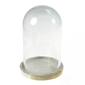 Glas Glocke Haube H20,5cm 14cm Glockenglas Glasglocke Glashaube Glassturz Holz