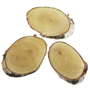 3 Holzscheiben Birke oval 21-23cm Holz Untersetzer Tischkarten Baumscheiben Deko