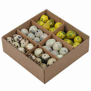 72 echte Wachteleier 3cm bunt ausgeblasen natur gelb braun Eier Ostereier Ostern