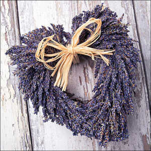20 Servietten Lavendel Herz 3-lagig 33x33cm Provence Frankreich Garten Kruter