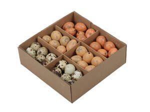 72 echte Wachteleier  3cm bunt ausgeblasen natur orange Eier Ostereier Ostern