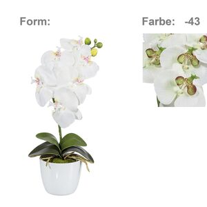 Orchidee Phalaenopsis Kunstpflanze 40 cm in grn-creme