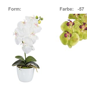 Orchidee Phalaenopsis Kunstpflanze 40 cm in grn