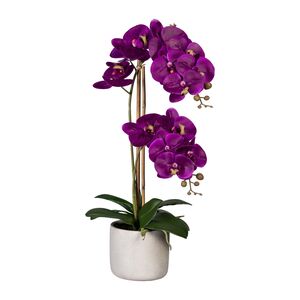 Knstliche Orchidee 60cm im Zementtopf in versch. Farben