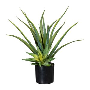 Knstliche Aloe Pflanze 48cm im Kunststofftopf