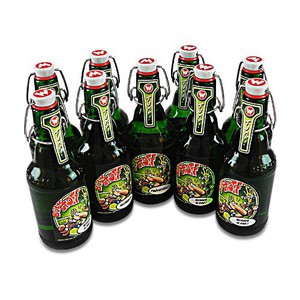 Blkstoff Bier (9 Flaschen Wernerbier  0,33 l / Pilsner / 4,8 % vol.)
