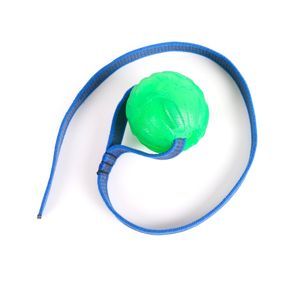Treat Dispensing Chew Ball 7 cm mit 60 cm Wurfband