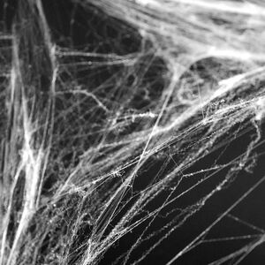 Halloween Spinnennetz wei 60g mit schwarzen Deko-Spinnen Party-Deko