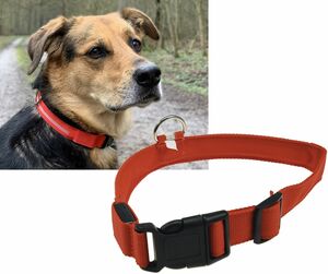 Hunde-Halsband leuchtend mit LED 28-35cm, Gre S, rot