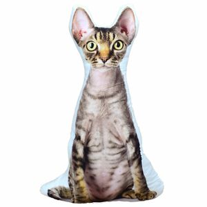 Katze Tom Kissen Kuschelkissen 3D Motiv fotorealistisch 56cm Kater