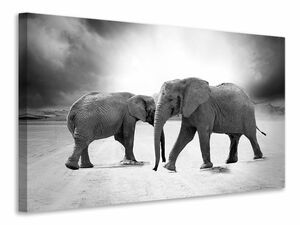 Leinwandbild 2 Elefanten sw
