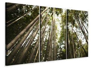 Leinwandbild 3-teilig Arashiyama Japan