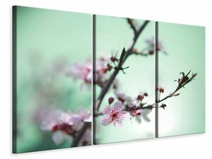 Leinwandbild 3-teilig Die japanische Kirschblte
