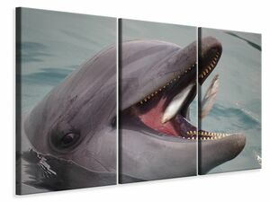 Leinwandbild 3-teilig Essenszeit fr einen Delphin