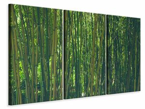 Leinwandbild 3-teilig Mitten im Bambus