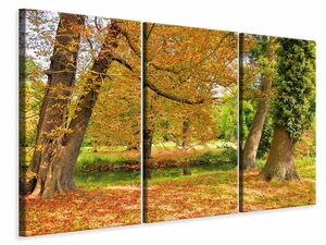 Leinwandbild 3-teilig Mitten unter Herbstbumen