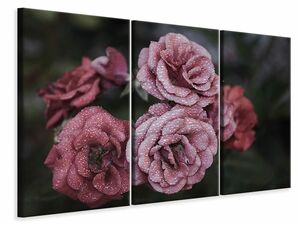 Leinwandbild 3-teilig Romantische Rosen