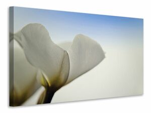 Leinwandbild Das Blatt einer Lilienblte
