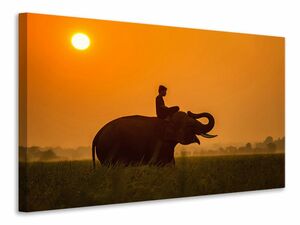 Leinwandbild Der heilige Elefant
