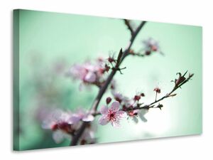 Leinwandbild Die japanische Kirschblte