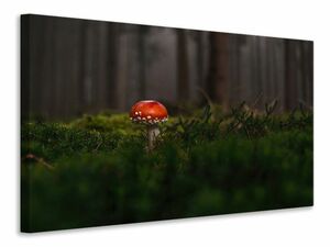 Leinwandbild Ein Pilz im Wald