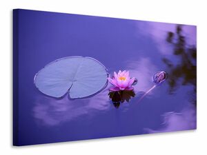 Leinwandbild Lotus Blte