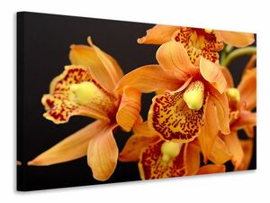 Leinwandbild Orchideen mit orangen Blten