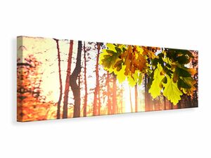 Leinwandbild Panorama Herbst