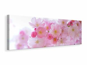 Leinwandbild Panorama Japanische Kirschblte XL