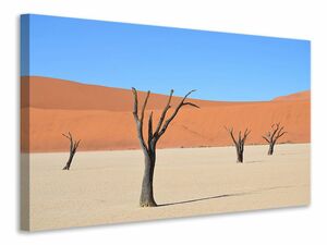 Leinwandbild Sossusvlei Namibia