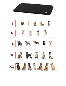BedDog Hundematte CORA - Komfortables Hundekissen aus Cordura, langlebige Haustier-Unterlage, groes Hundebett, S-XXL