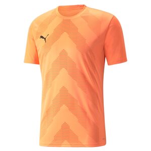 Puma teamGLORY Jersey - orange
