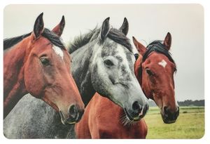 Schreibtischunterlage drei Pferde (-Kpfe ) Ponys 40 x 60 cm abwischbar 
